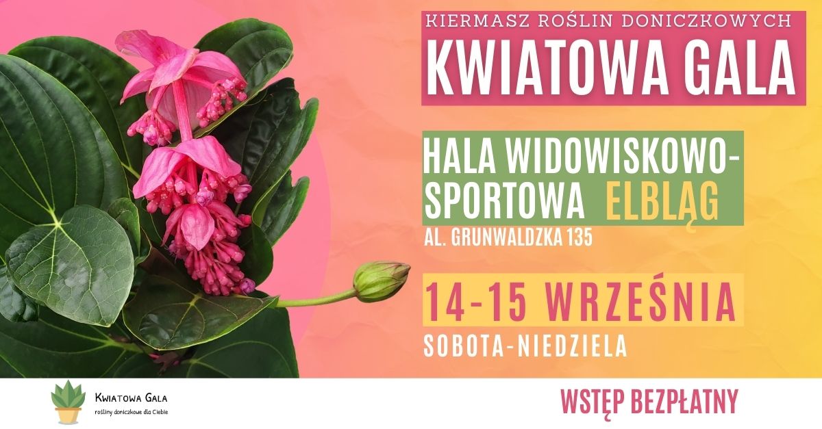 Kwiatowa Gala w Elblągu - nie wiem gdzie kupić rośliny, nie chce ci się szukać po sklepach po wpadnij na Kwiatową Galę i znajdź swoją roślinę